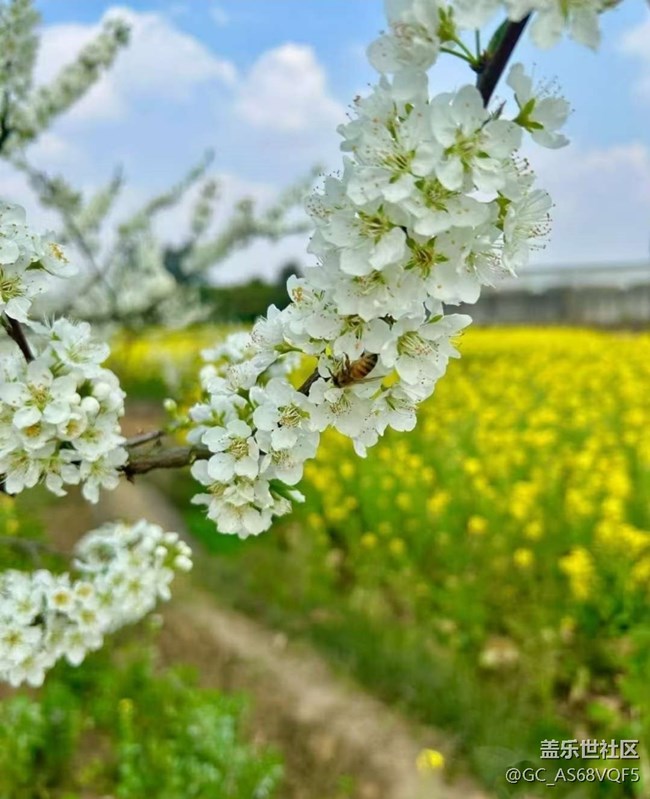 【徒步所見】鄉(xiāng)間田野