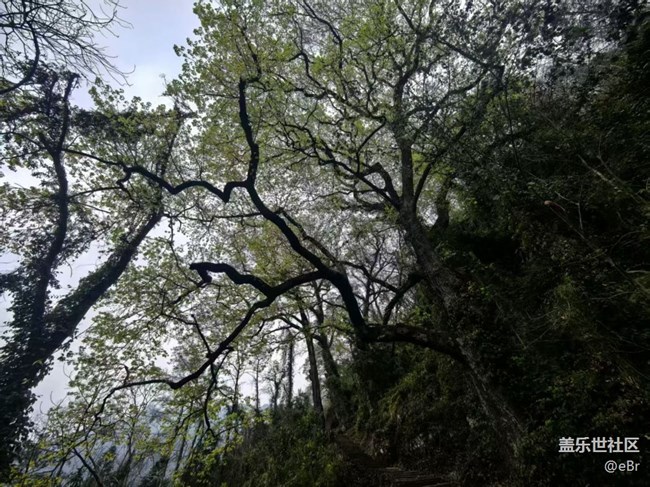 【徒步所見】春來了