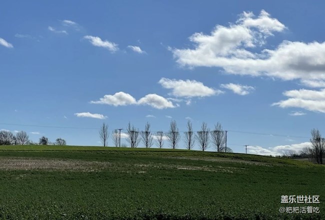 【徒步所見(jiàn)】尋找春天