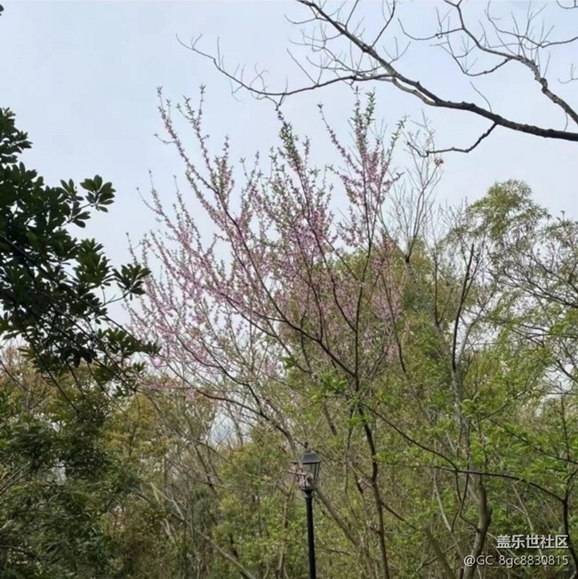 【徒步所見】風(fēng)景