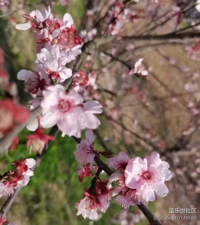 【徒步所見】出去曬曬