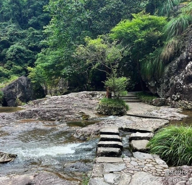 【徒步所見】初春景色