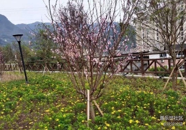 【徒步所見】出去走走