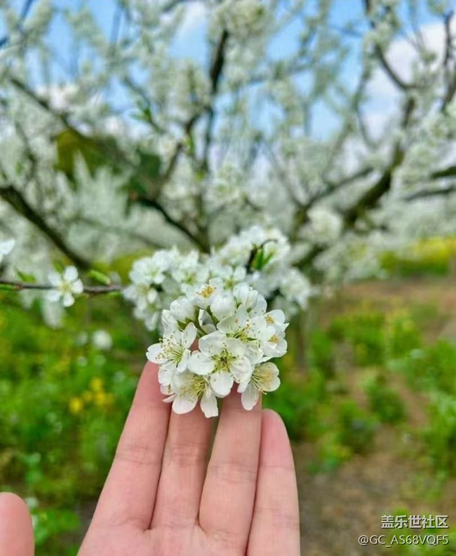 【徒步所見】鄉(xiāng)間田野