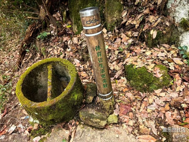 【徒步所見】春來了