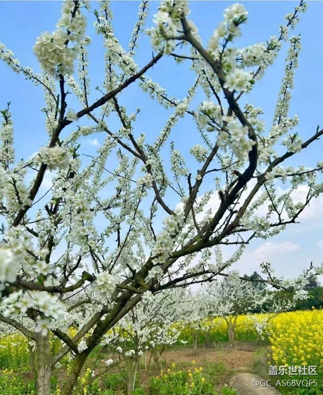 【徒步所見】鄉(xiāng)間田野