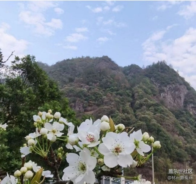 【徒步所見】花開的季節(jié)