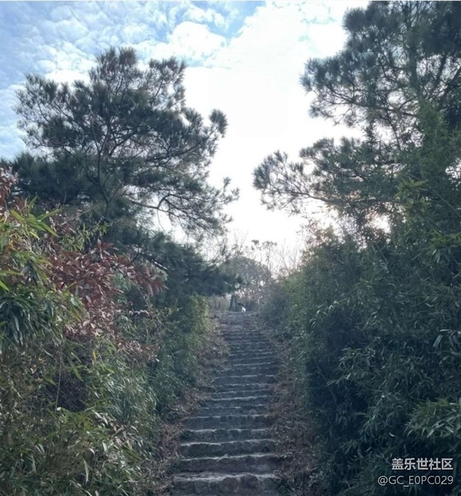 【徒步所見】春天爬山