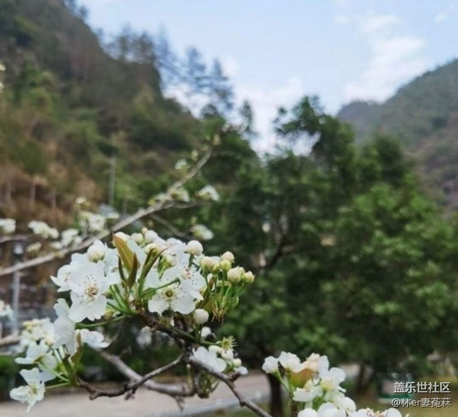 【徒步所見】花開的季節(jié)