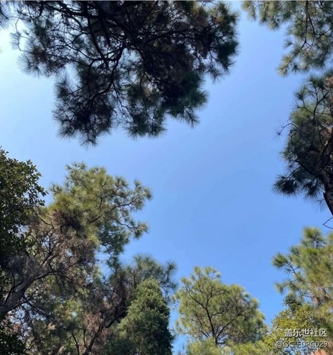 【徒步所見】春天爬山