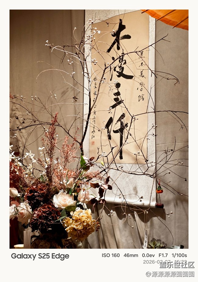 【花鳥AI伴】武漢星部落活動總結(jié)貼