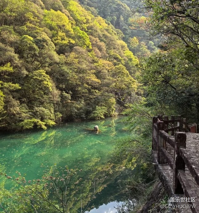 【徒步所見】登山的快樂