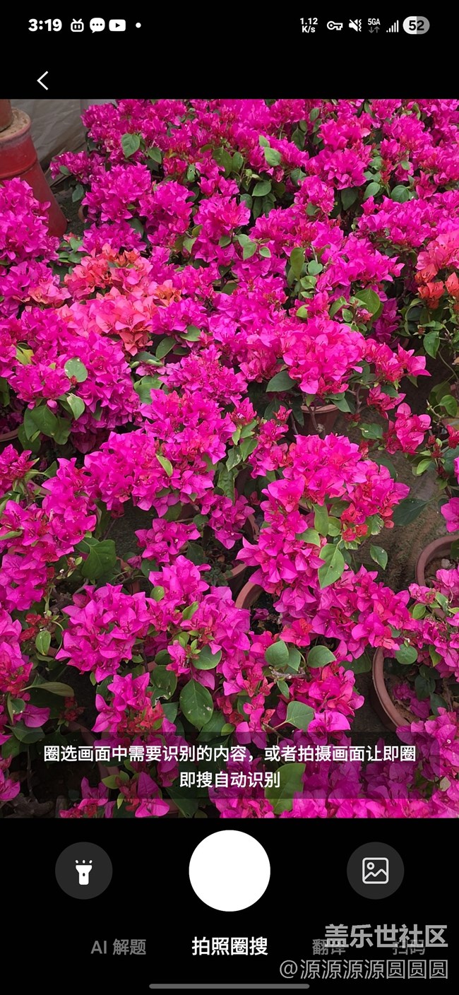 【花鳥AI伴】武漢星部落活動總結(jié)貼