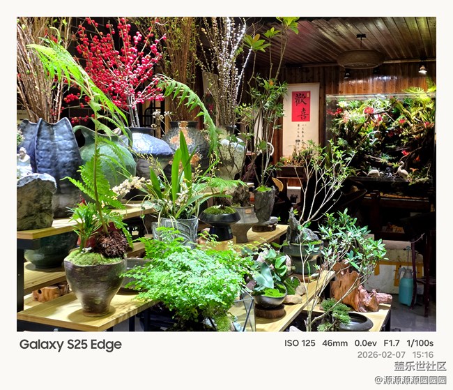 【花鳥AI伴】武漢星部落活動總結(jié)貼