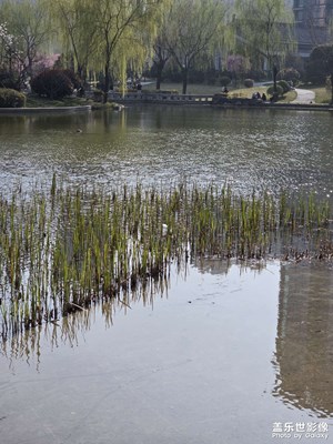 【簡拍】湖邊漫步