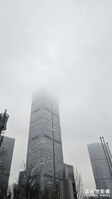 【簡拍】初春路上隨手拍