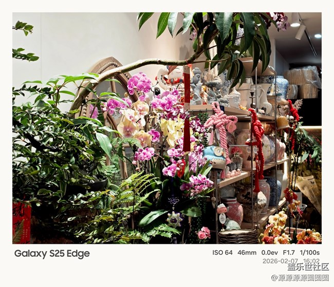 【花鳥AI伴】武漢星部落活動總結(jié)貼