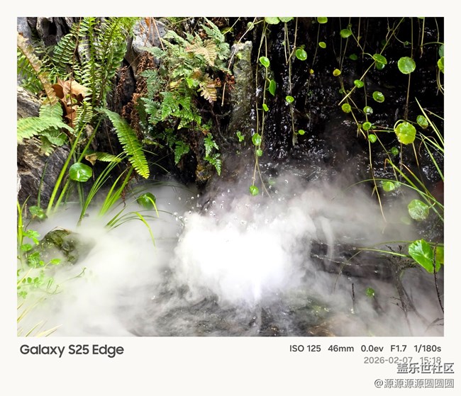 【花鳥AI伴】武漢星部落活動總結(jié)貼