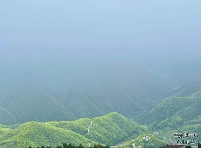 【徒步所見】山頂