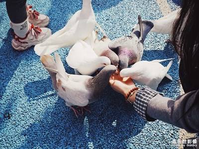 【簡拍】愜意下午