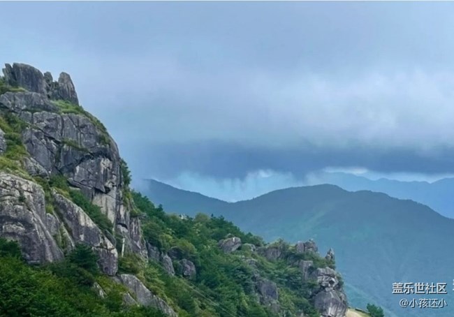 【徒步所見】山頂