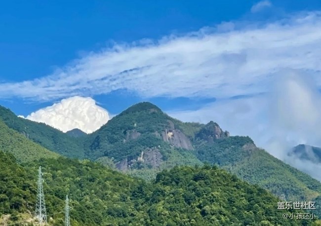 【徒步所見】山頂