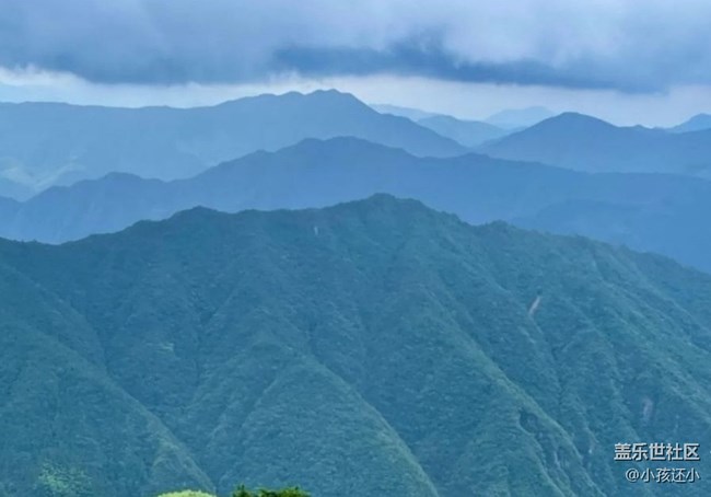 【徒步所見】山頂