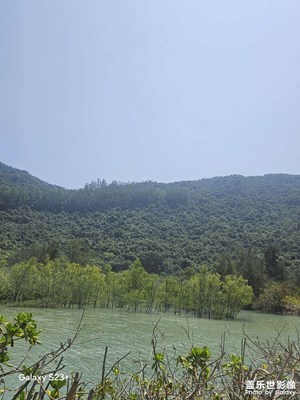 【簡拍】海上桃源