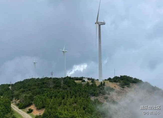 【徒步所見】山頂