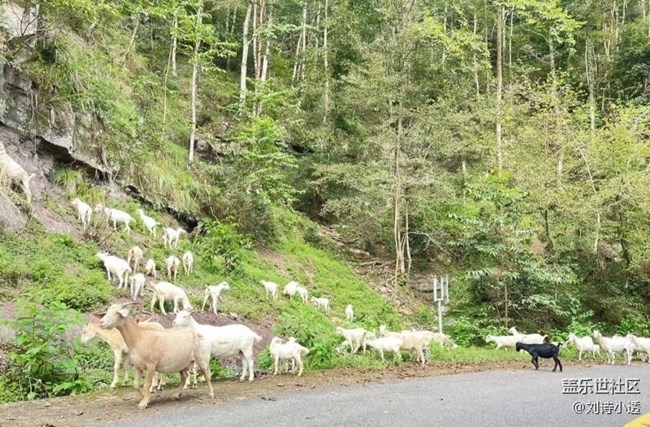 【徒步所見】春天騎行