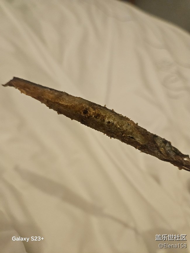 【一口春味】春天來個(gè)多春魚