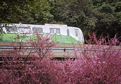 【攝影版塊三月第三周】人間三月