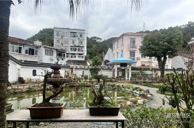 【徒步所見】初春景色