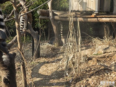 【簡拍】暖陽之間