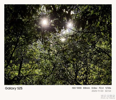 【簡(jiǎn)拍】光影里舒展