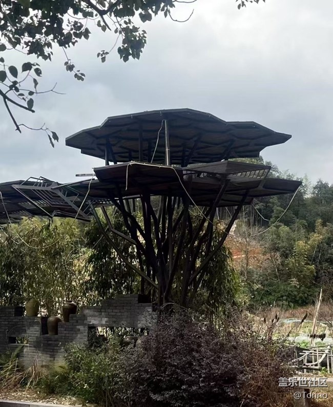 【徒步所見】初春景色