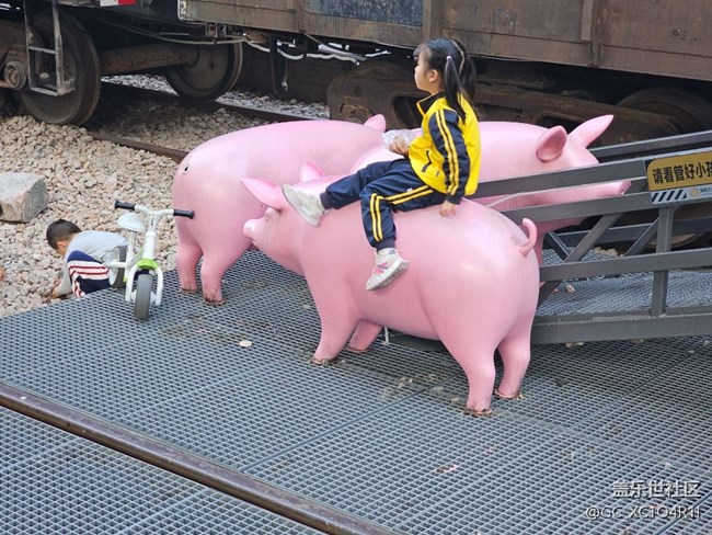 【徒步所見】徒步景色