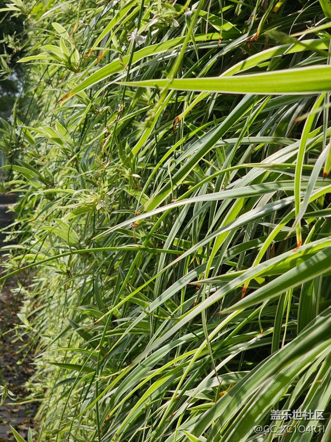 【徒步所見】徒步景色