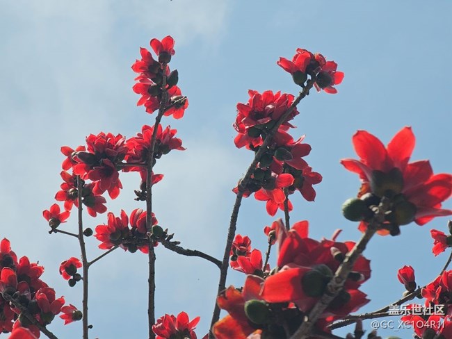 【徒步所見】徒步景色