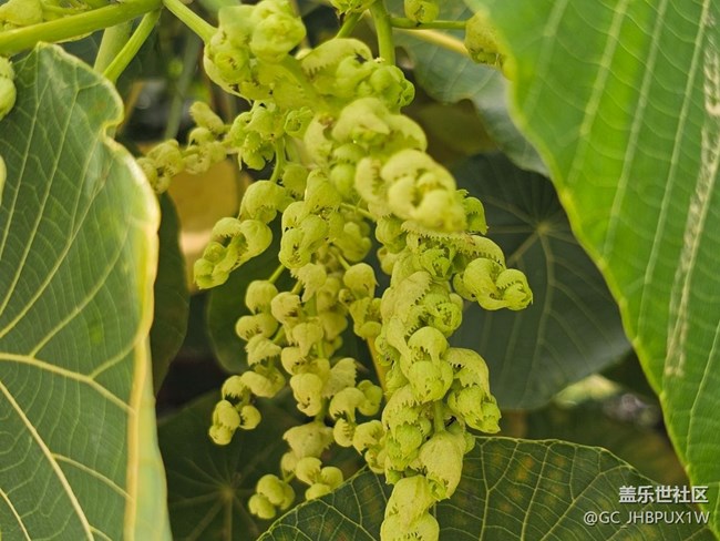 【徒步所見(jiàn)】徒步街景