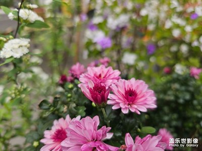 【簡(jiǎn)拍】春天