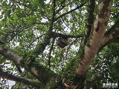 【簡(jiǎn)拍】自然模樣