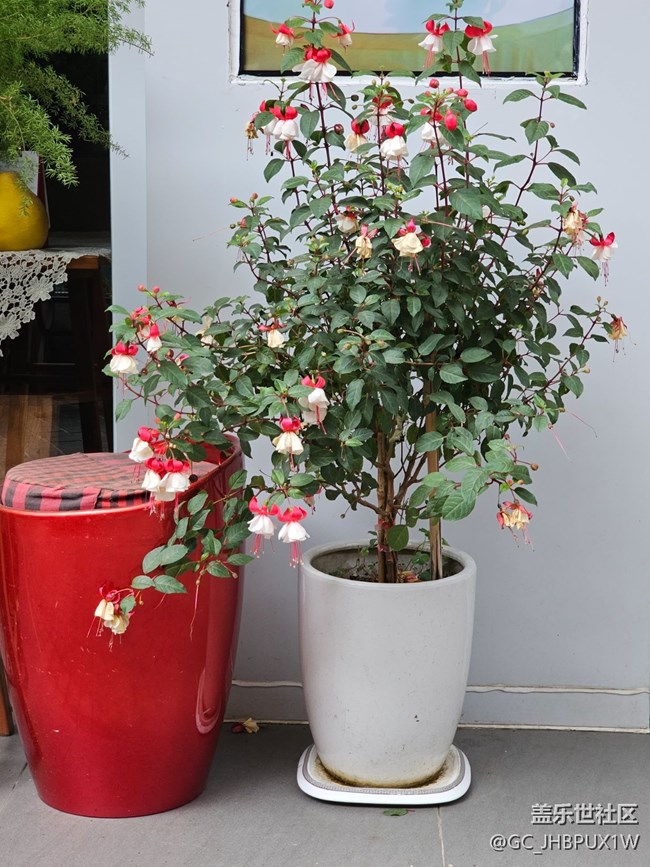 【徒步所見(jiàn)】徒步街景