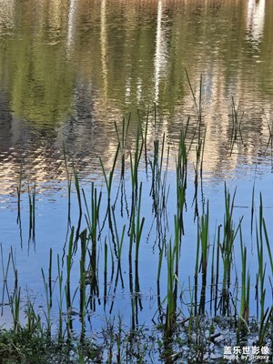 【簡拍】+春天新氣象