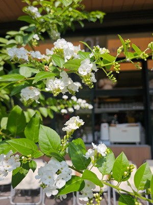 【簡(jiǎn)拍】春暖花開(kāi)