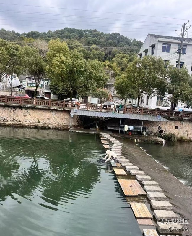 【徒步所見】初春景色