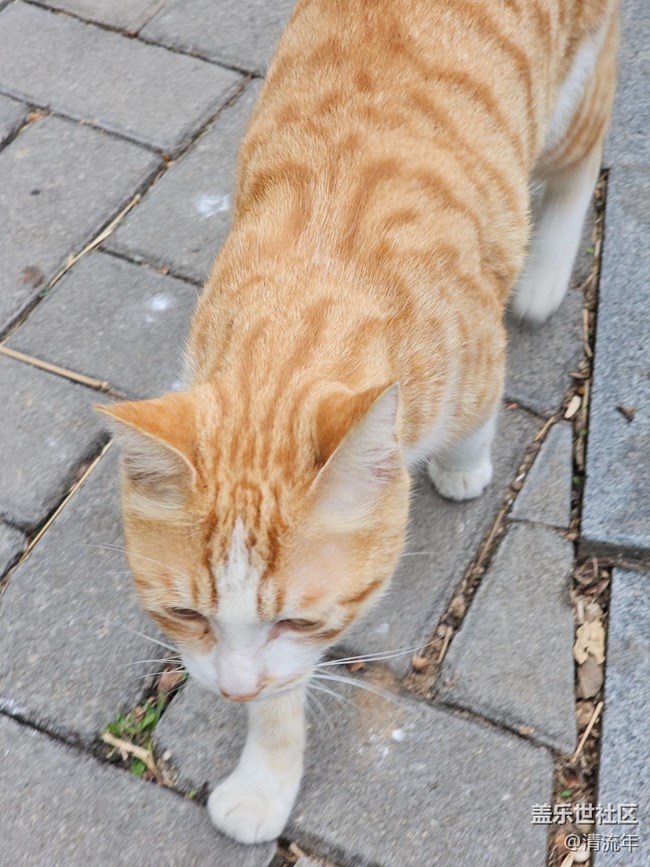 【徒步所見(jiàn)】沿路風(fēng)景