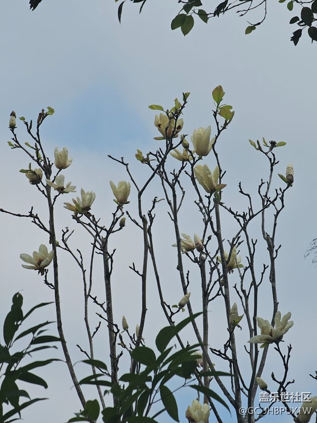 【徒步所見(jiàn)】徒步街景