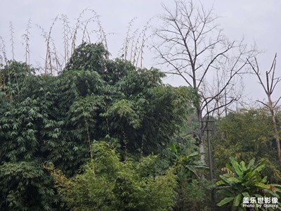 【簡拍】拍下時光