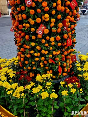 【簡拍】春天有趣的事物